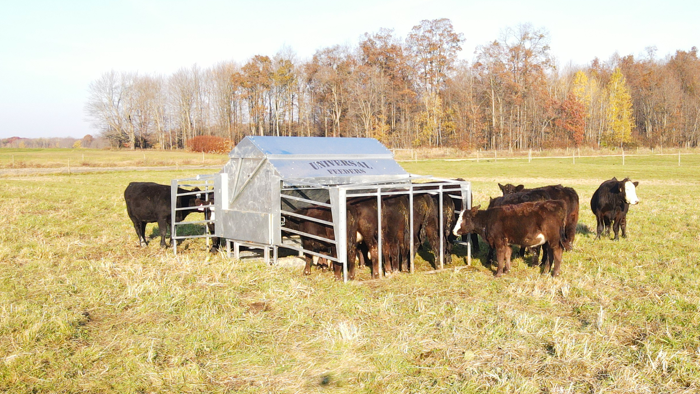4000 Ultimate Universal Feeder With Calf Creep Gates
