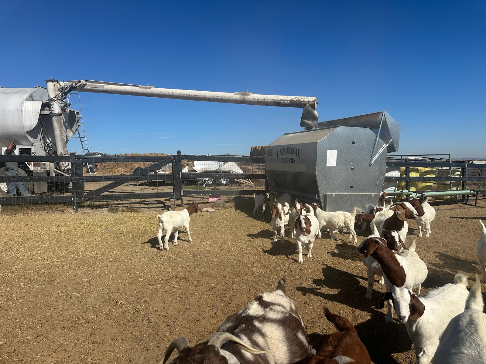 6600 Ultimate Feeder being filled by the bulk truck at JDJ Ranch in WA