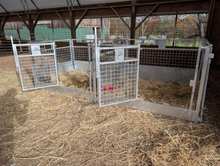 RamQuip galvanized lambing and kidding pen setup — farm example 1