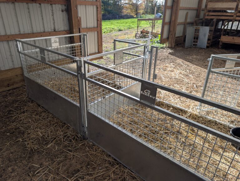 RamQuip galvanized lambing and kidding pen setup — farm example 3