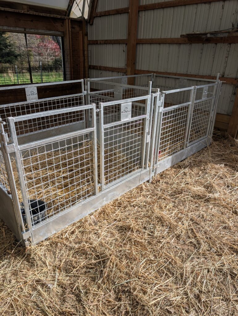 Lambing and kidding pen barn setup example
