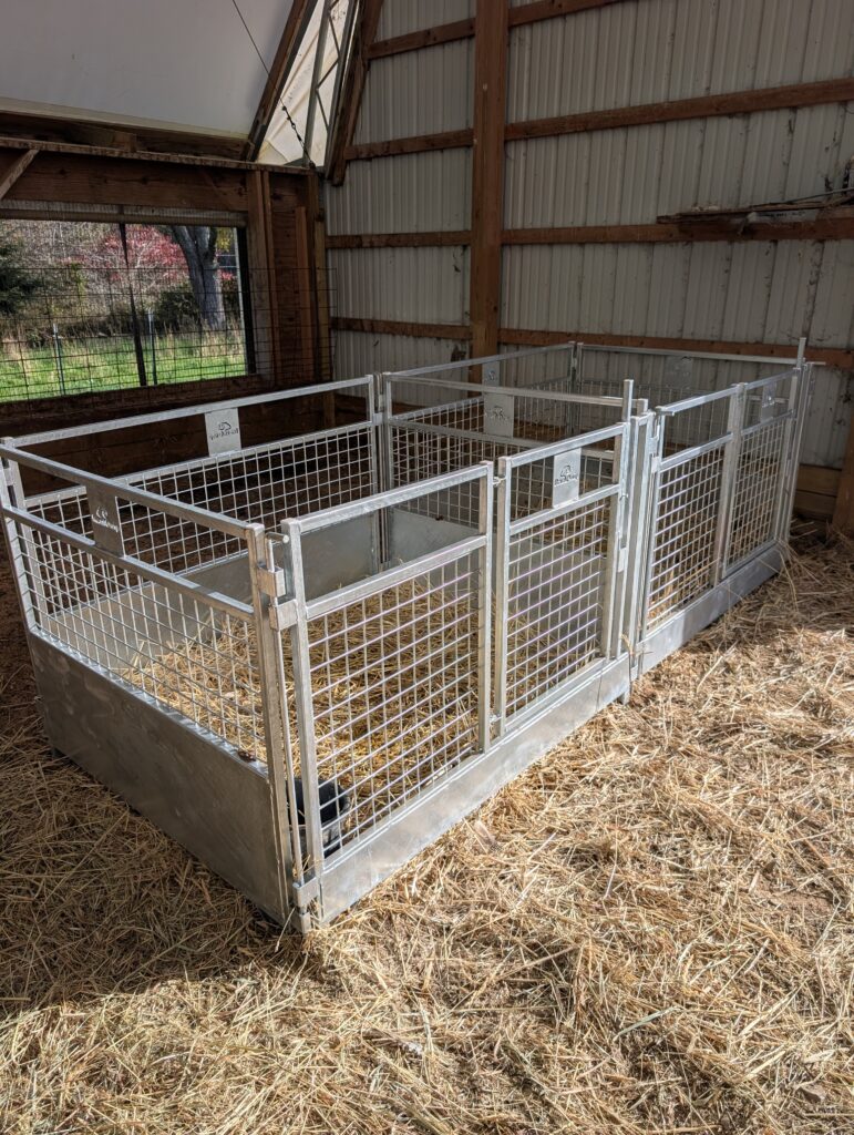 Lambing and kidding pens set up in a barn — example 3