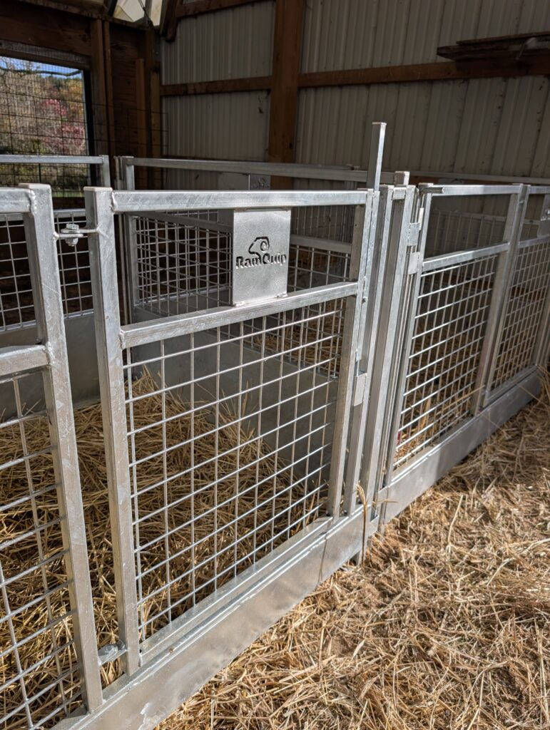 Lambing and kidding pen barn setup example