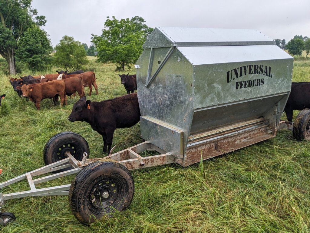 Trailer and Dolly Trailer System with a Universal Feeder and cattle in pasture